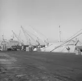 Fartyget Valencia vid kaj

