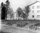 Bostadsbebyggelse vid Tullportsparken. Bostadsrättsföreningen Sirius vid Tullportsgatan 1 + 3 + 5 + 7 + 9. 