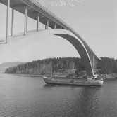 Fartyget Eros vid Sandöbron

