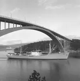 Fartyget Irene vid Sandöbron

