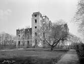 Stjärnorps slottsruin