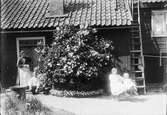 Brita, Josef, Sara och Tyra Edhlund vid bostaden i kvarteret Guldskäret, Östhammar, Uppland