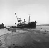 Fartyget Gunny vid kaj