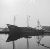 Fartyget Pep Sea vid kaj