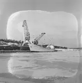 Fartyget Royal Board vid kaj
