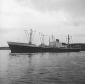 Fartyget Uliang på Älven