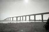 Ölandsbron vid Svinö.