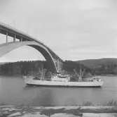 Fartyget Flamingo vid Sandöbron
