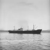 Fartyget Geert Howaldt på Älven
