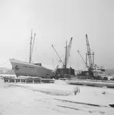 Fartyget Elisa Johanna vid kaj