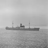 Fartyget Skagerack på Älven

