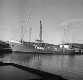 Fartyget Vlistborg vid kaj
