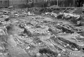 Västerås Arkeologisk undersökning under Fiskartorget av Dominikanerklostret utförd av Vlm / Sven Drakenberg 1954 inför byggandet av Stadshuset.