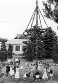 Ringlekar runt midsommarstången på Kustsanatoriet Apelviken under 1950-talet. Till vänster om stången sitter musikerna; en kvinna med dragspel och en man med gitarr. (Se även bildnr KSA39)