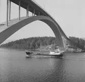 Fartyget Rigon vid Sandöbron

