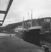 Fartyget Hoheweg vid kaj

