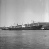 Fartyget Ohrmazo vid kaj