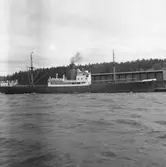 Fartyget Tasso vid kaj