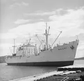 Fartyget Rauni vid kaj

