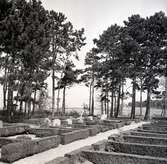 Borgholms kyrkogård år 1961.