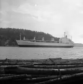 Fartyget Boreland på Älven

