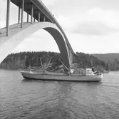 Fartyget Lappland vid Sandöbron

