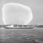 Fartyget Tove Lilian på Älven