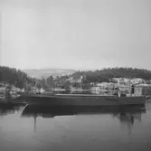 Fartyget Carola Schulte på Älven