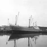 Fartyget Helmuth Feldtmann vid kaj