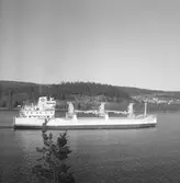 Fartyget Ivan Gorthon på Älven

