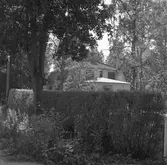 Doktorsvillan i Gysinge. Fotodokumentation i samband med besiktning 1989. 