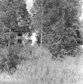 Doktorsvillan i Gysinge. Fotodokumentation i samband med besiktning 1989. 