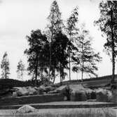 Gravfältet vid Holm, hög nr 3, foto från SO. Kuben över sektion 3.