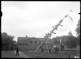 Majstången reses på Vallby friluftsmuseum i Västerås.