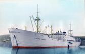 Fartyget Selma Thorden