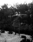 Kung Oscar II på jakt vid Fammarps flygsandfält i Halmstad. Han står i sanden vid ett buskage och siktar med geväret. Runt midjan sitter ett patronbälte.