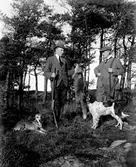 Två jägare i ett skogsbryn med två jakthundar och en död räv, som hålls upp av den ene jägaren.