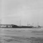 Fartyget Sea Bird vid kaj