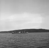 Fartyget Bullaren på Älven
