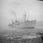 Fartyget Halland på Älven
