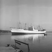 Fartyget Kyoto på Älven

