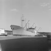 Fartyget Mangarella vid kaj

