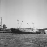 Fartyget Ronald vid kaj

