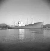 Fartyget Stratus på Älven
