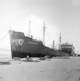 Fartyget Sunnanhav vid kaj

