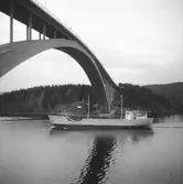 Fartyget Svend Sif vid Sandöbron