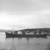 Fartyget Tiber på Älven

