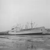 Fartyget Traneland vid kaj

