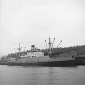 Fartyget Valborg Nielsen vid kaj

