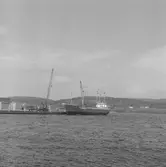 Fartyget Walther Behrens vid kaj